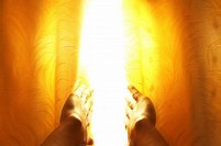 Sight Beyond the Veil