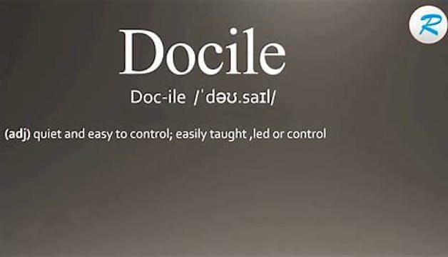 Docile