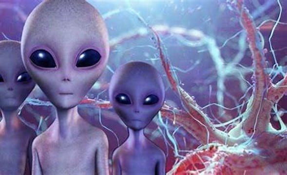 COVID 19 Feb 2021 Meeting