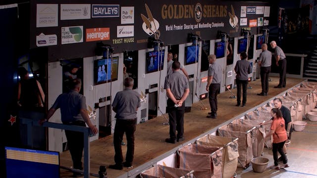 Open Shearing Top 30 (2026) - Round 2