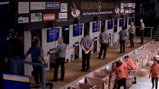 Open Shearing Top 30 (2026) - Round 5