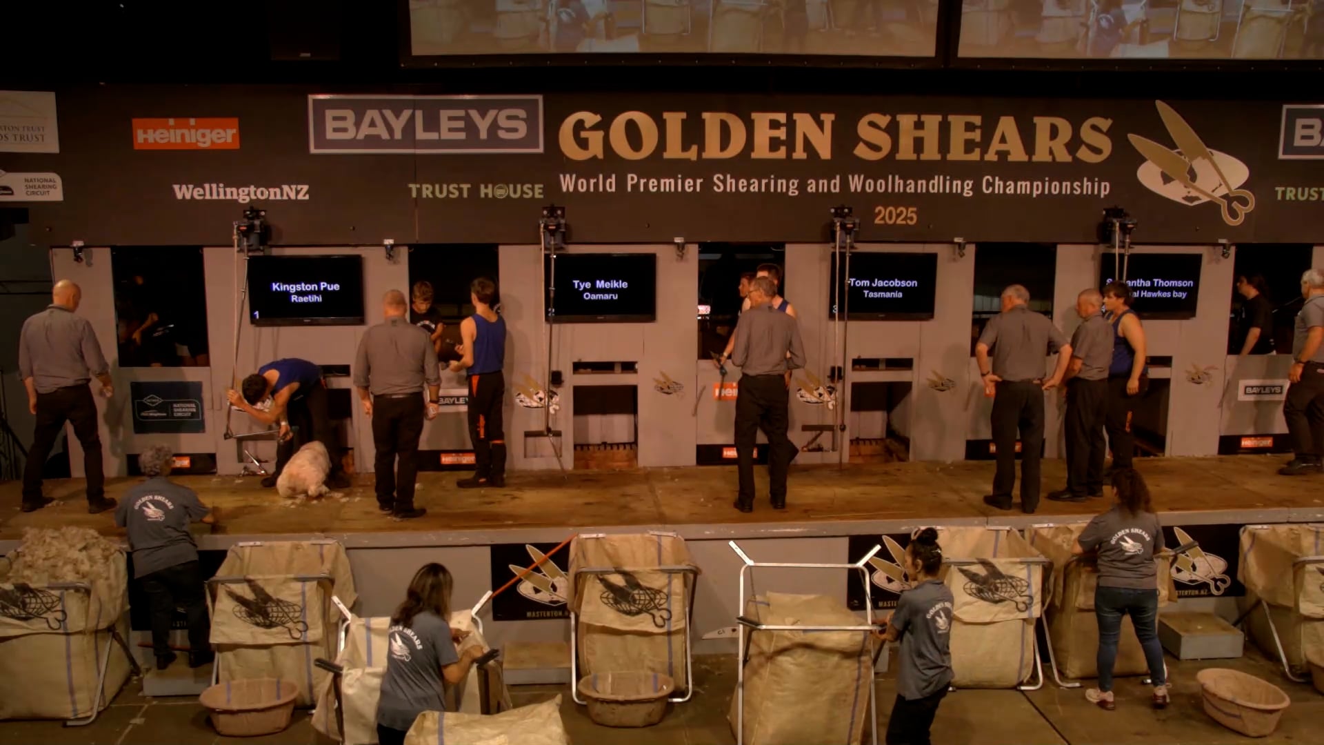 Junior Shearing Heats - Round 1_20250227_150931