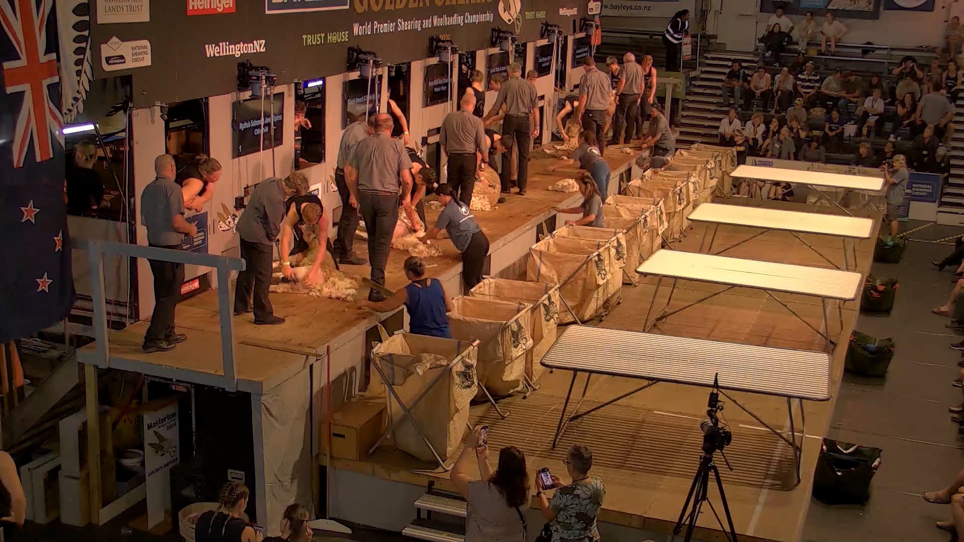 Student Shearing Challenge Shearing Pairs - Round 2