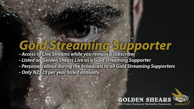 Thursday All Day Live Stream 2025