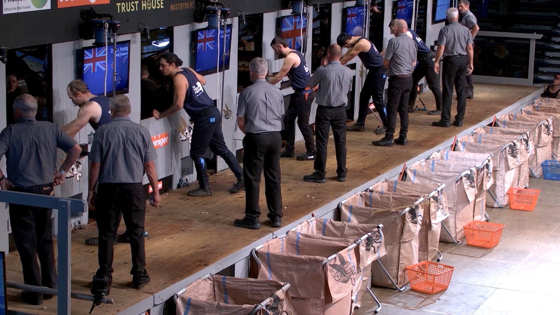 Senior Shearing Heats (2026) - Round 10