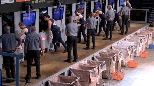 Senior Shearing Heats (2026) - Round 10