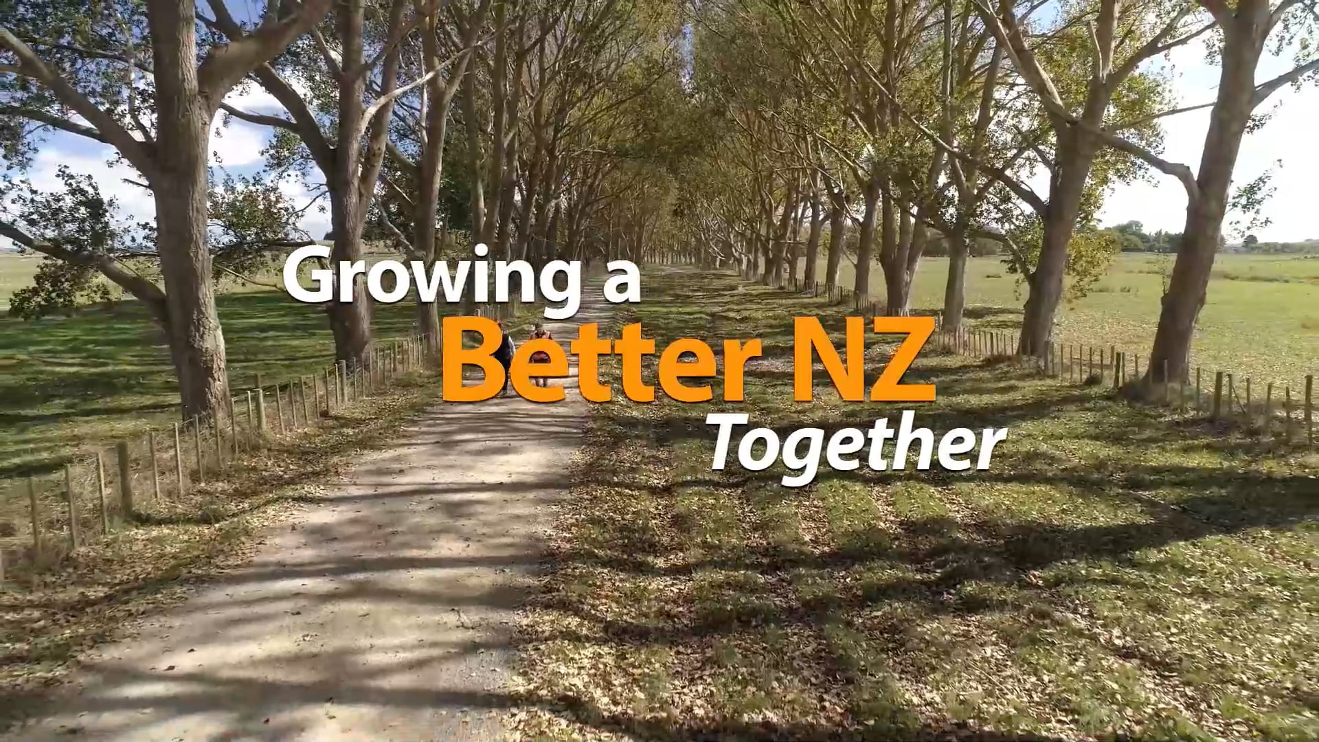 Junior Speed Shearing Heats - Round 7