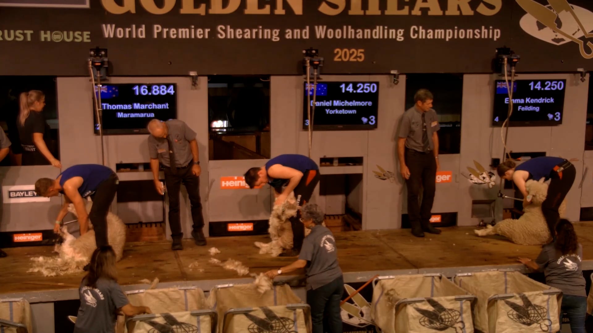 Intermediate Shearing Heats - Round 11