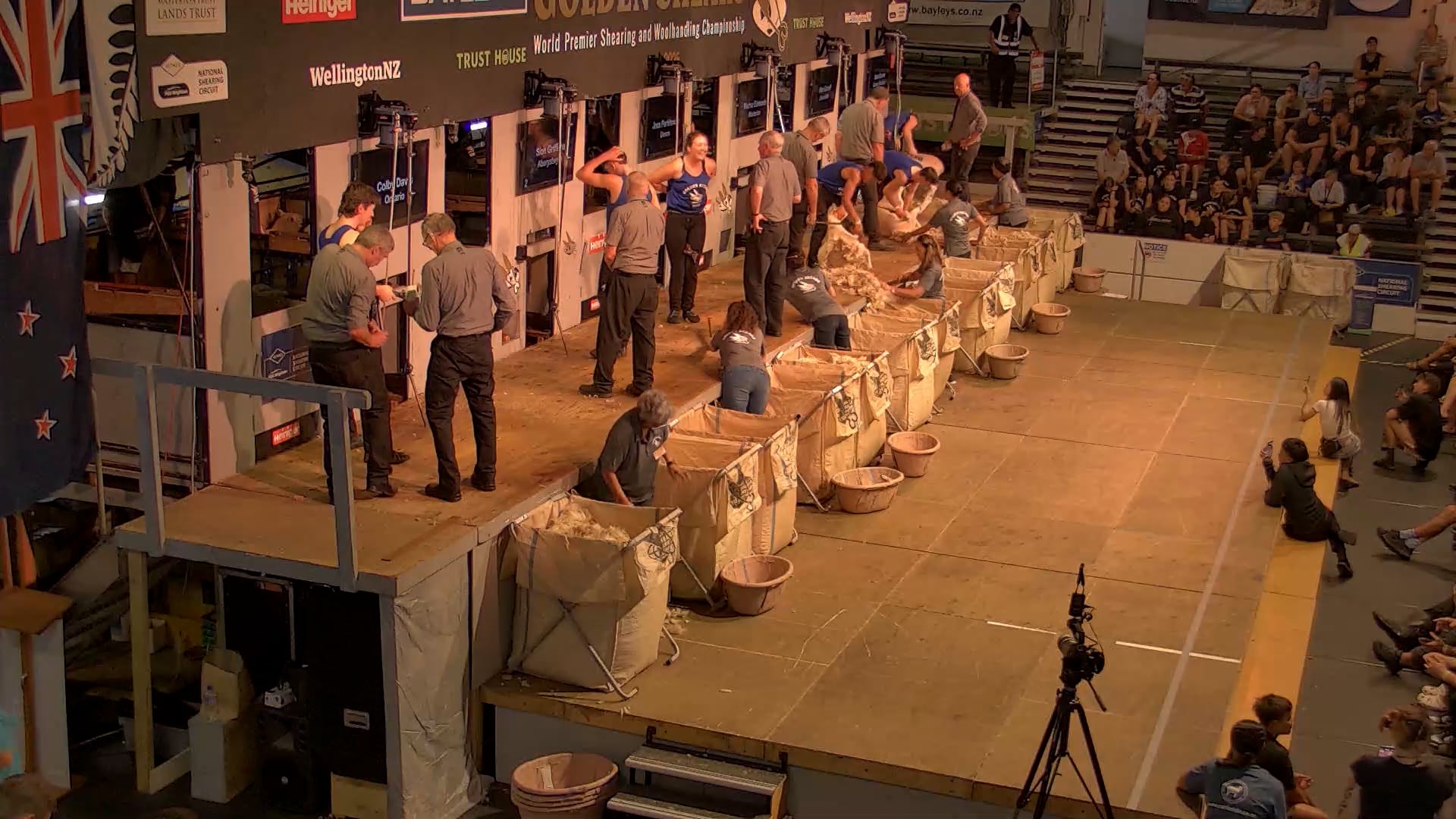 Junior Shearing Heats - Round 10_20250227_145134