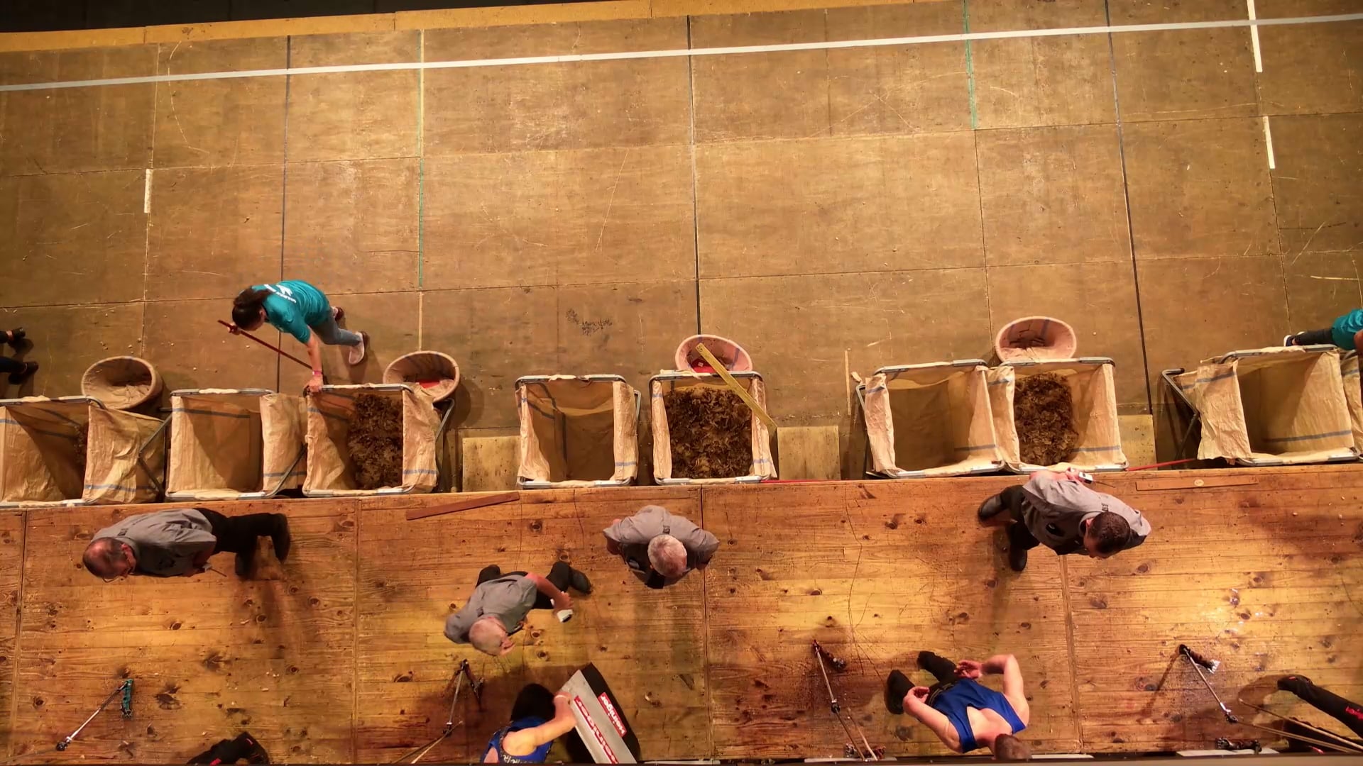 Open Shearing Heats - Round 4