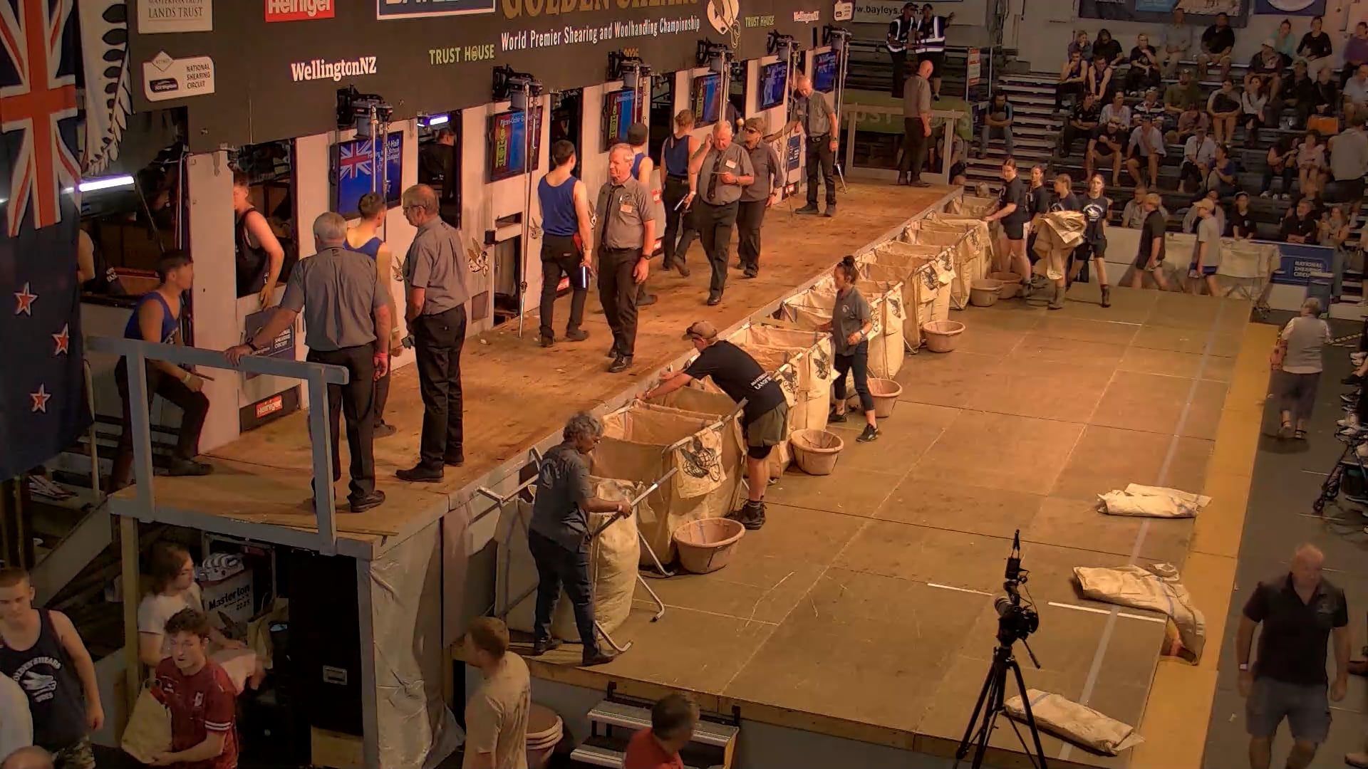 Novice Shearing Heats - Round 8