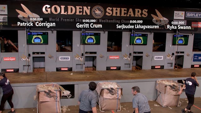 Senior Speed Shearing Quarter Finals ...
