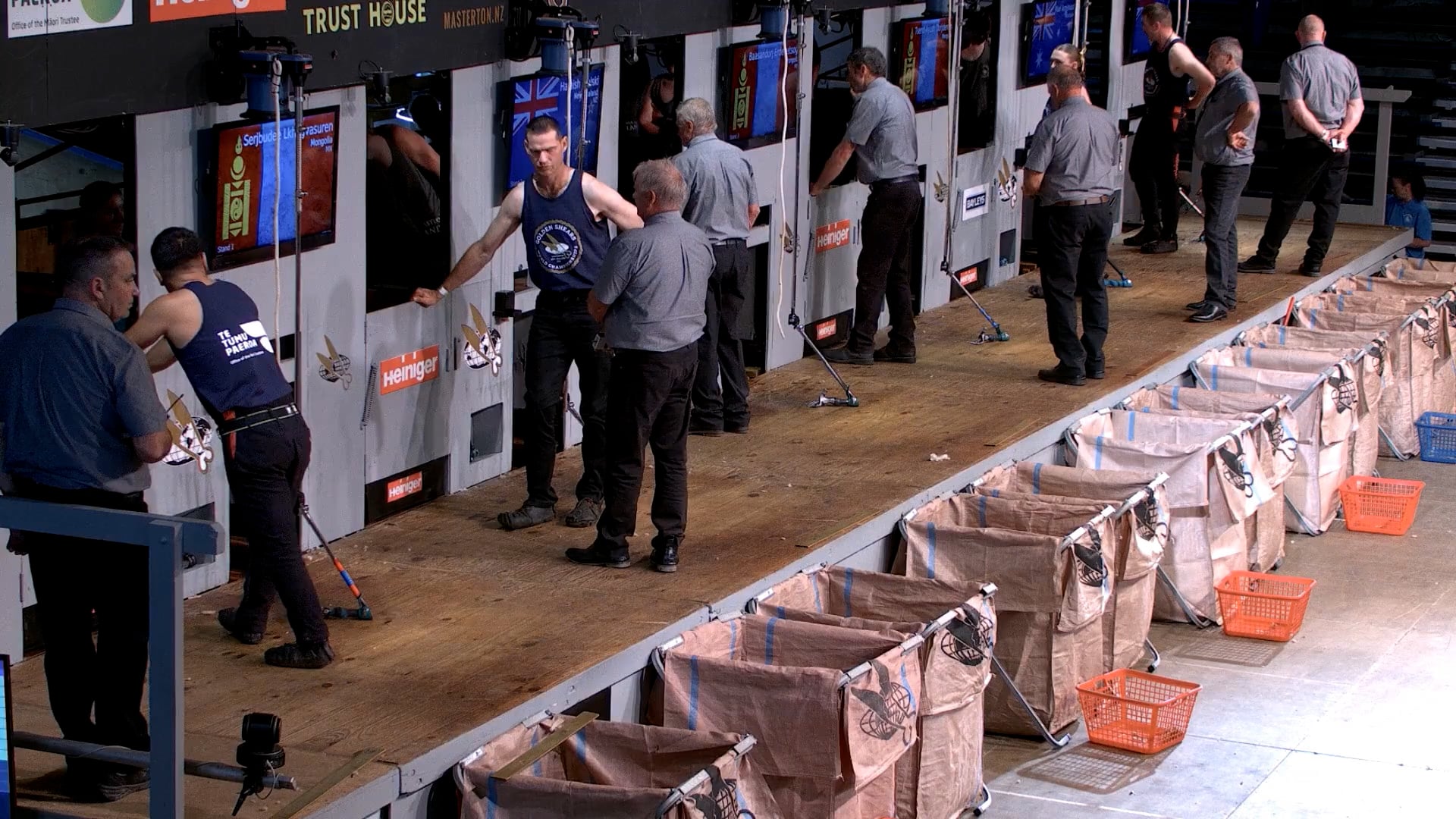 Intermediate Shearing Heats (2026) - Round 7