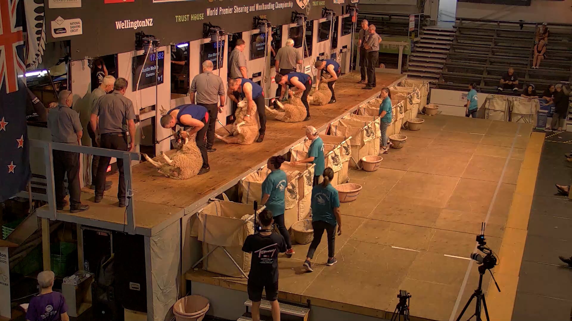 Open Shearing Heats - Round 15