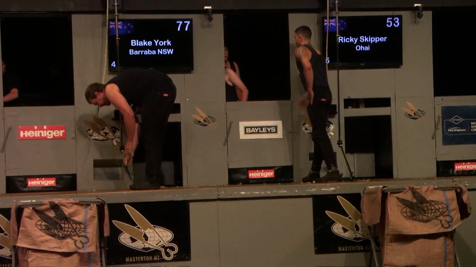 Senior Speed Shearing Heats - Round 4