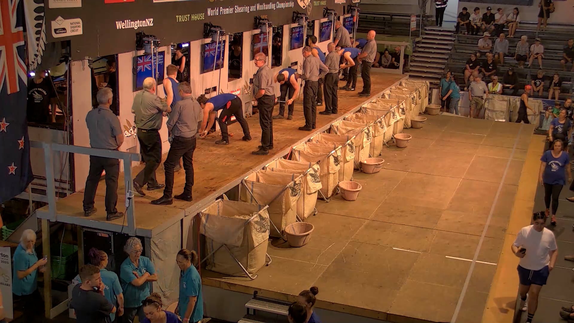 Senior Shearing Heats - Round 3