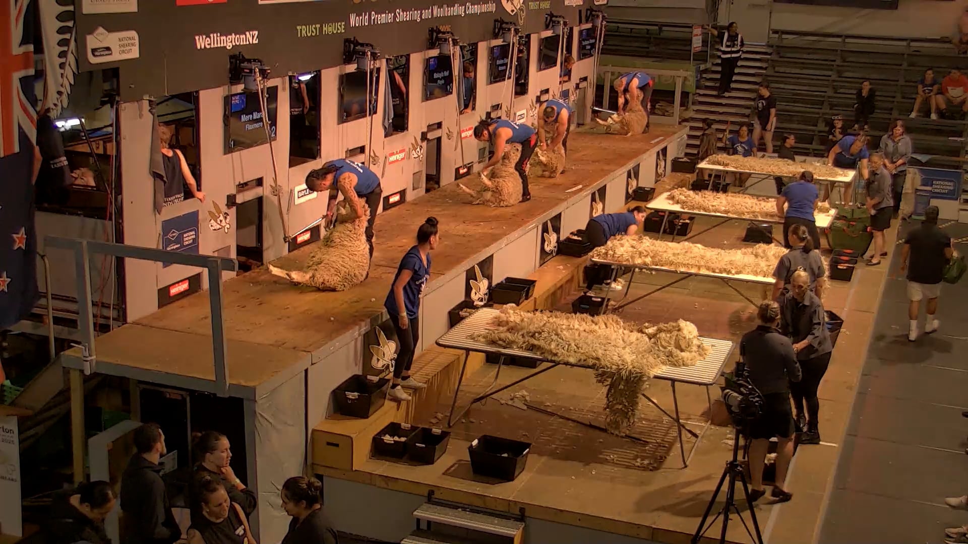 Senior Woolhandling Heats - Round 2