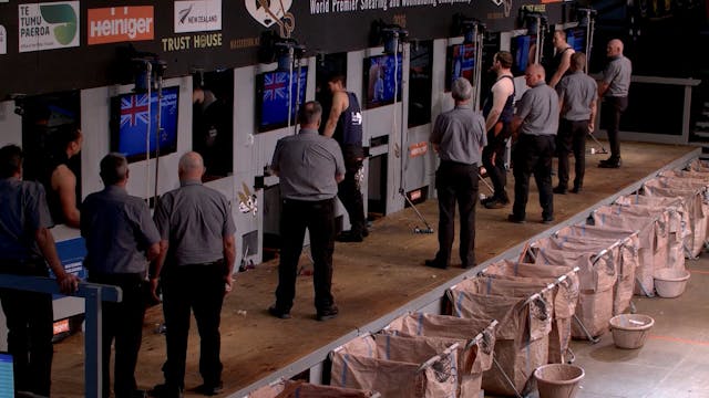 Open Shearing Heats (2026) - Round 3
