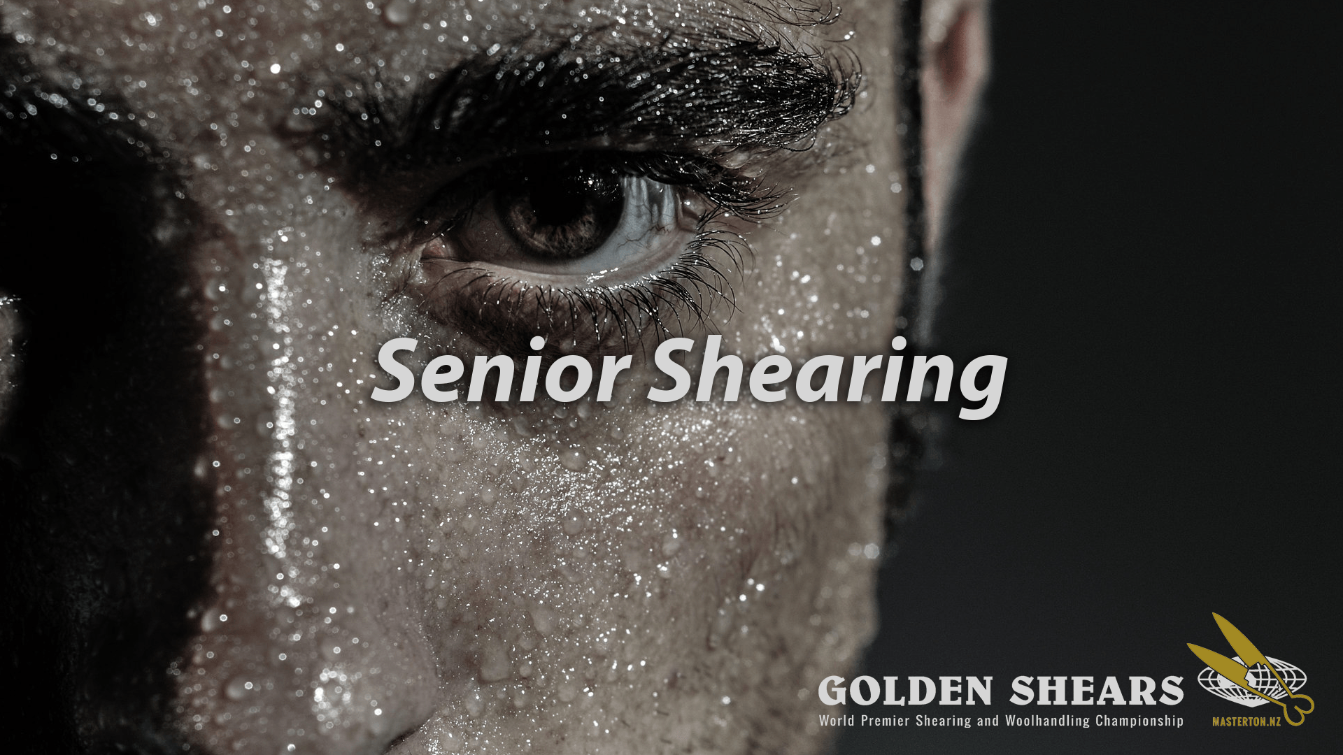 Senior Shearing