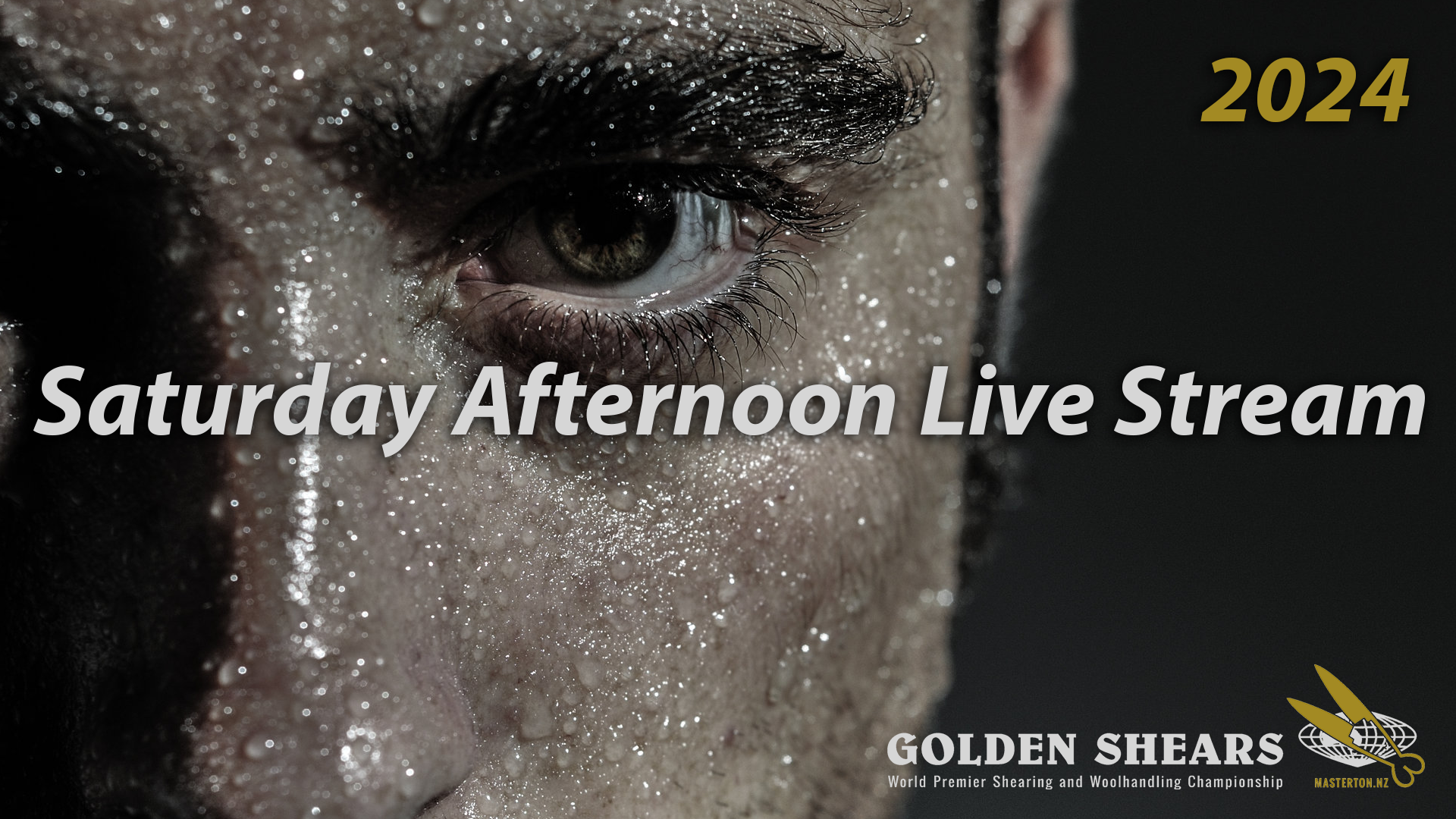 Saturday Afternoon Live Stream