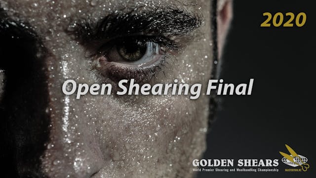 2020 Golden Shears Open Shearing Fina...