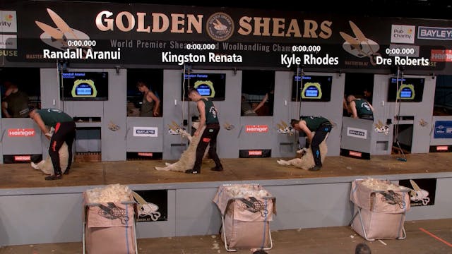 Senior Speed Shearing Quarter Finals ...
