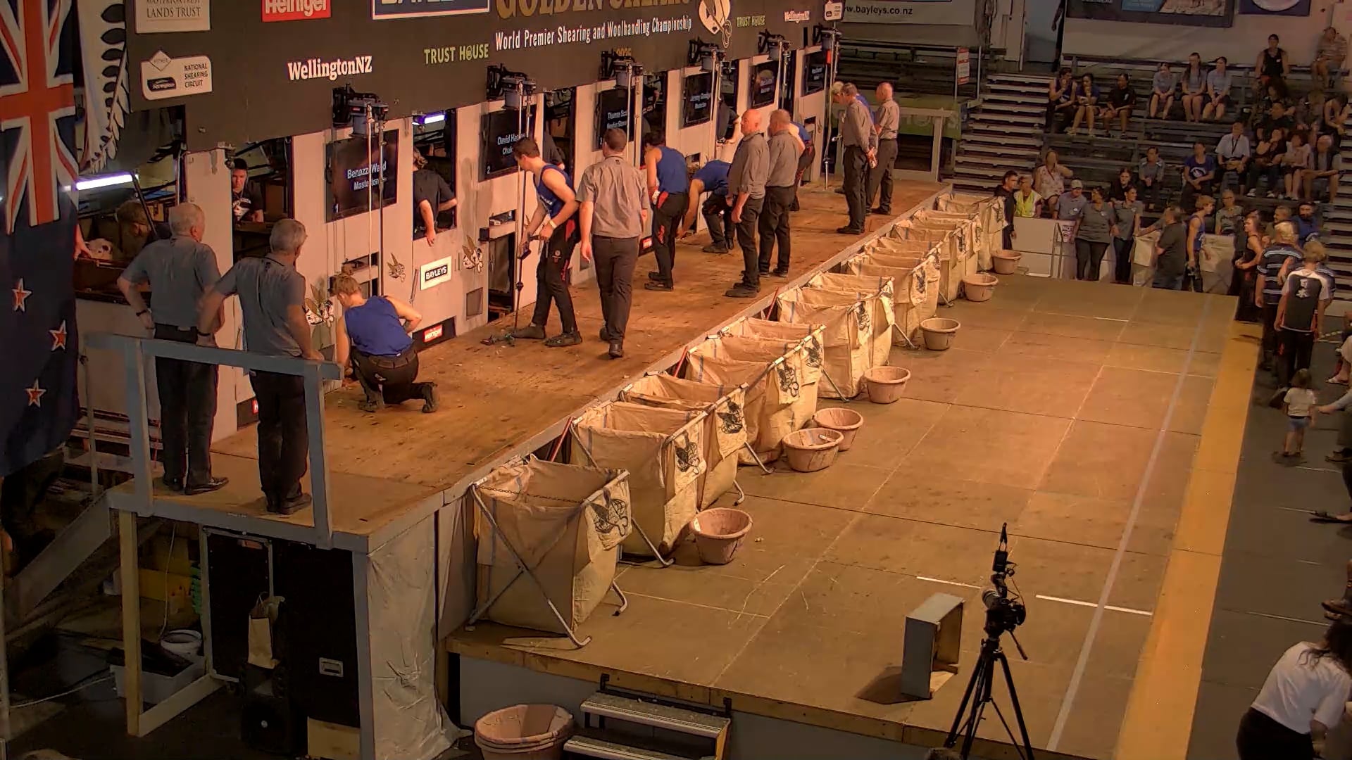 Junior Shearing Heats - Round 1_20250227_134445