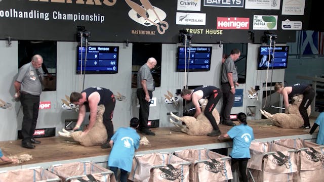 Junior Shearing Heats (2026) - Round 2