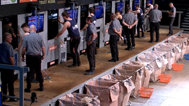 Intermediate Shearing Semi Finals (20...