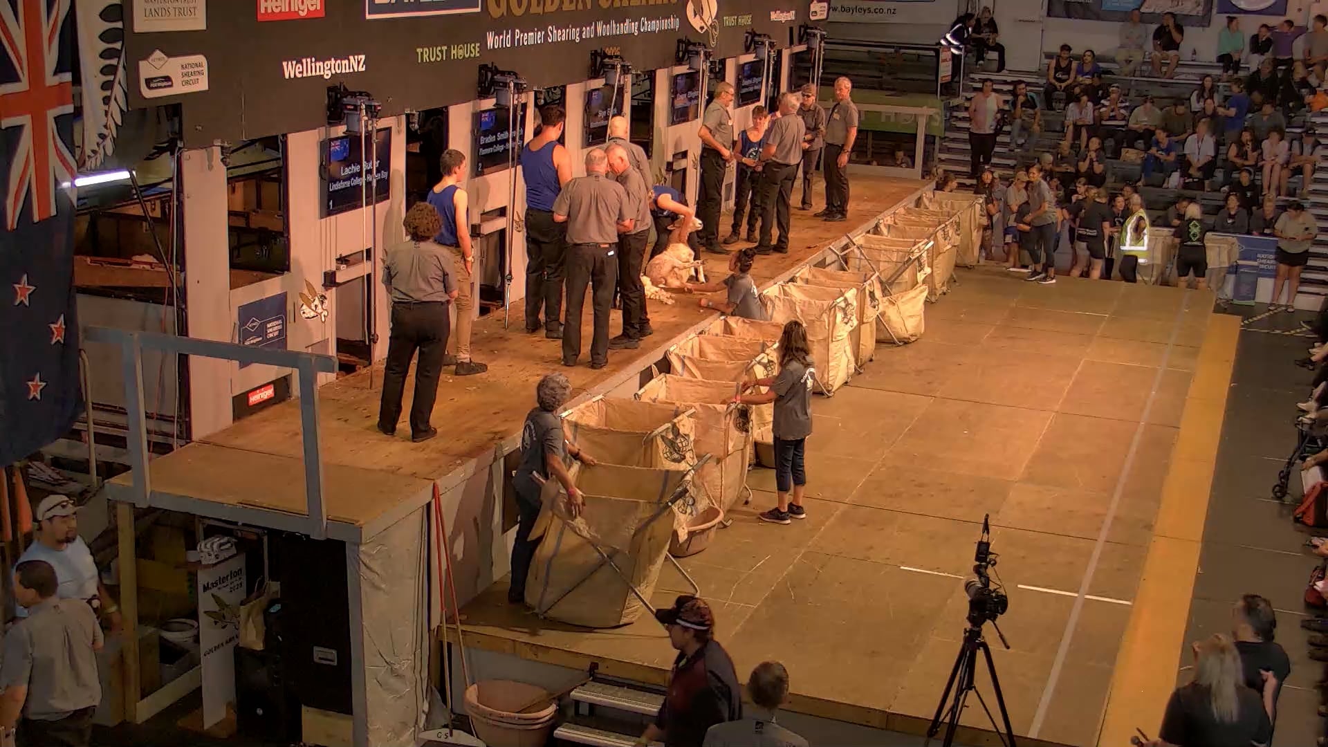 Novice Shearing Heats - Round 12_20250227_121517