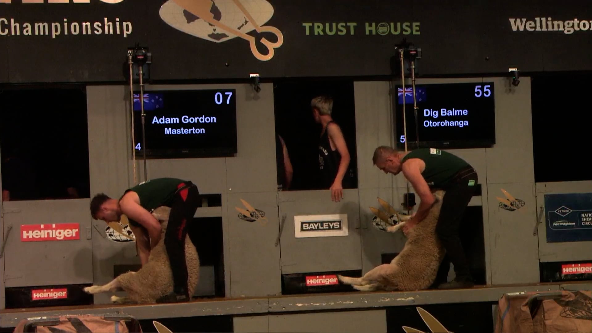 Open Speed Shearing Heats - Round 19