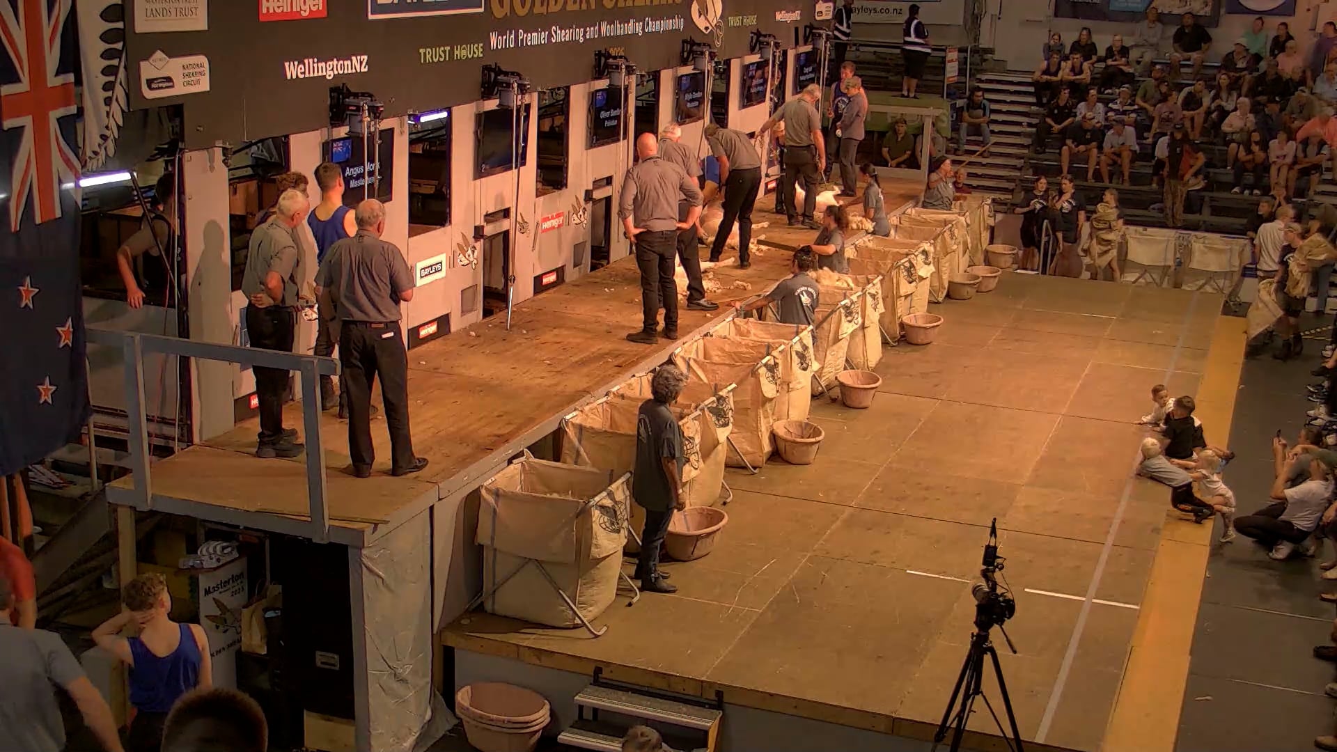 Novice Shearing Heats - Round 7_20250227_113600