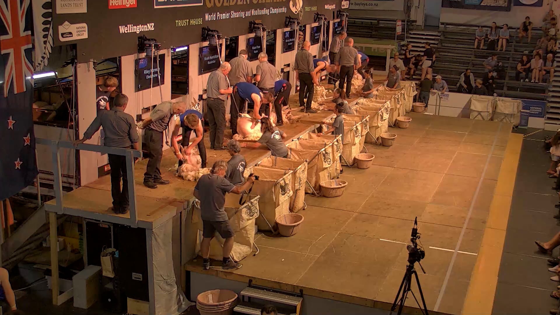 Junior Shearing Heats - Round 1_20250227_140553
