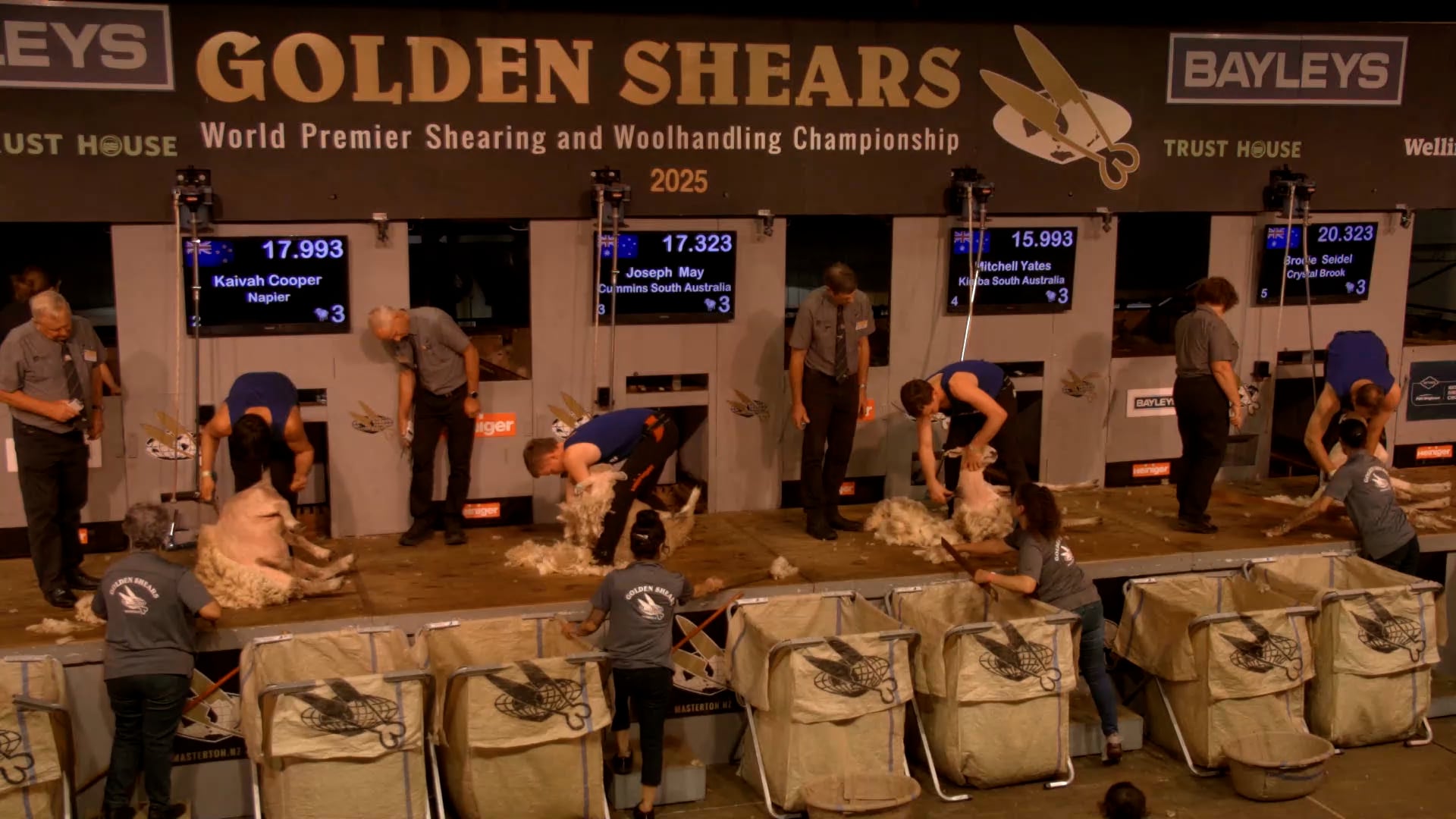 Intermediate Shearing Heats - Round 10