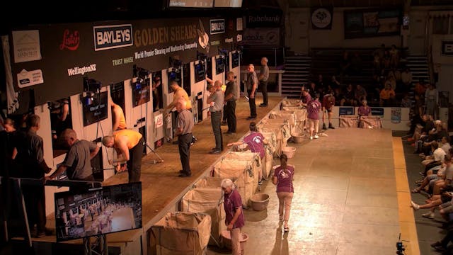 Bayleys  Open Shearing Heats Shearing...