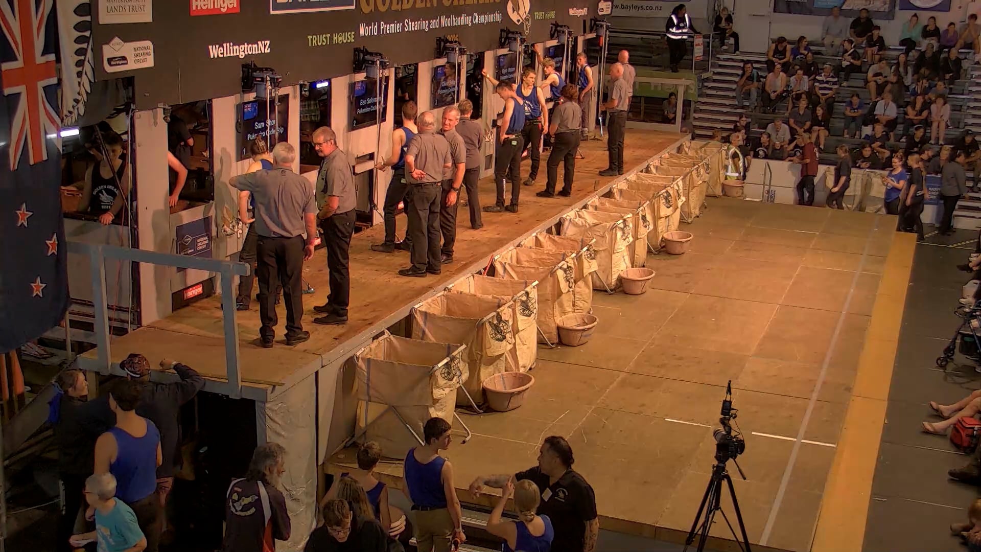 Novice Shearing Heats - Round 1_20250227_120022