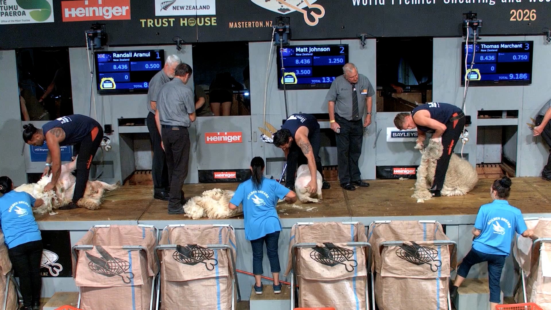Senior Shearing Heats (2026) - Round 4