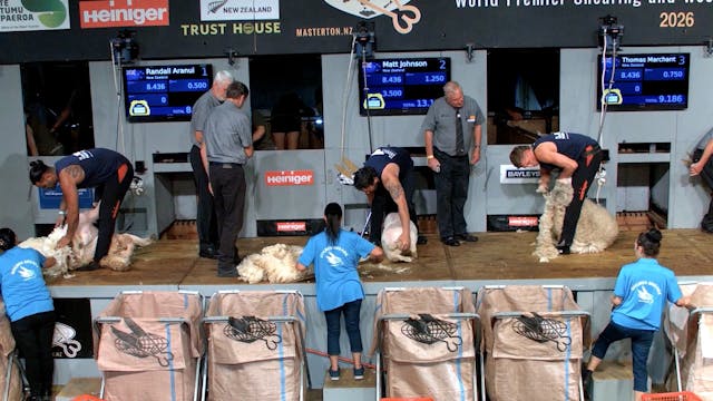 Senior Shearing Heats (2026) - Round 4
