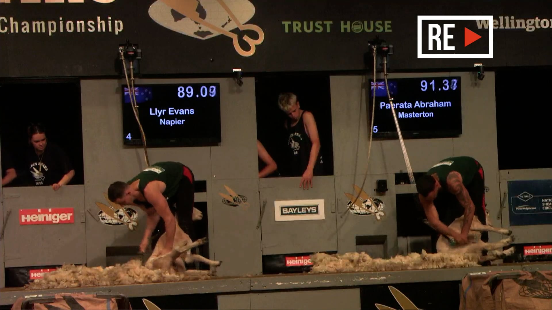 Open Speed Shearing Heats - Round 14