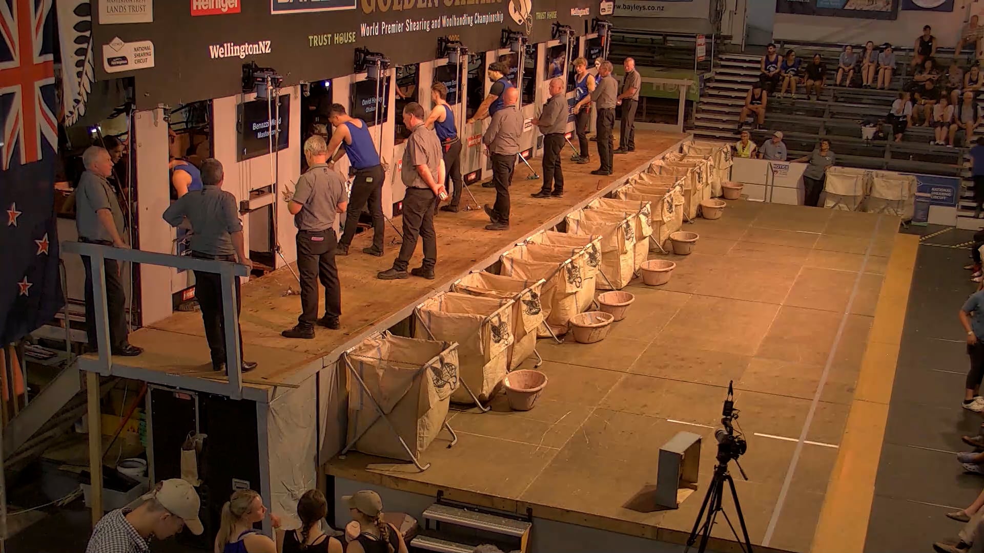 Junior Shearing Heats - Round 2