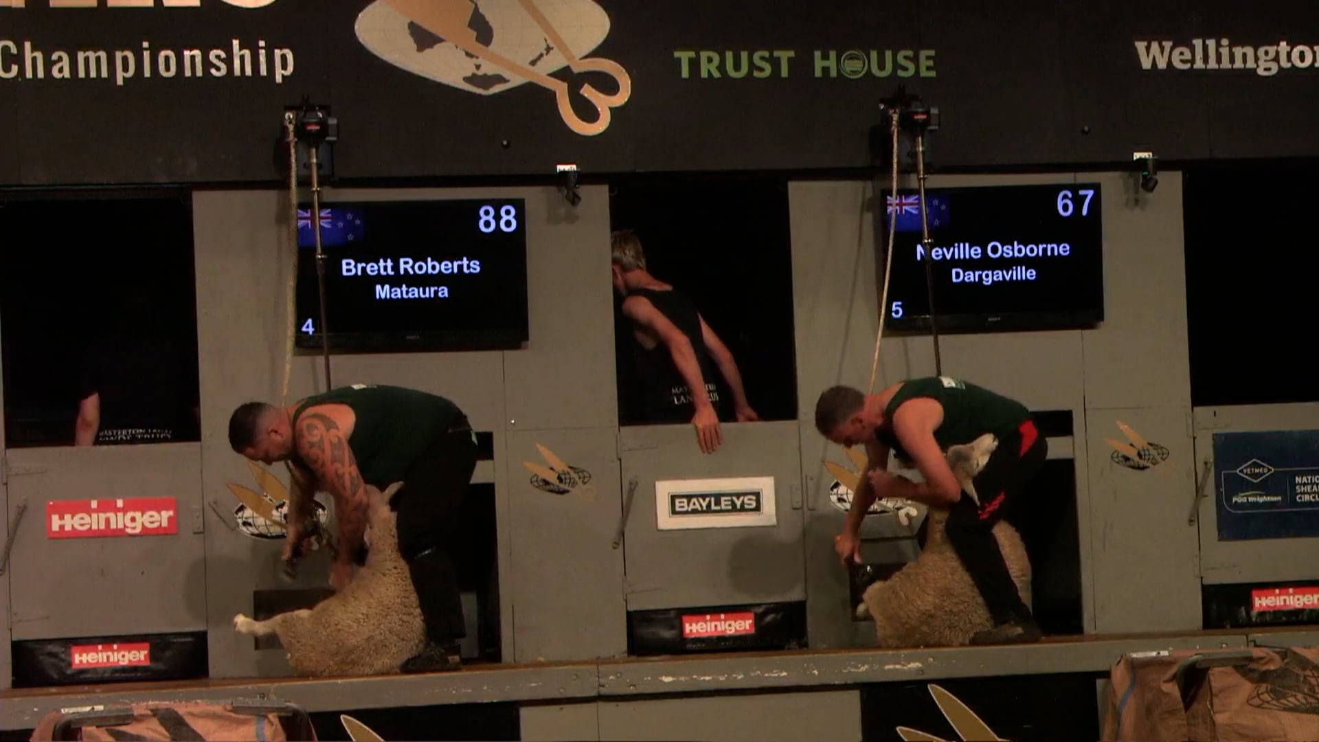 Open Speed Shearing Heats - Round 18