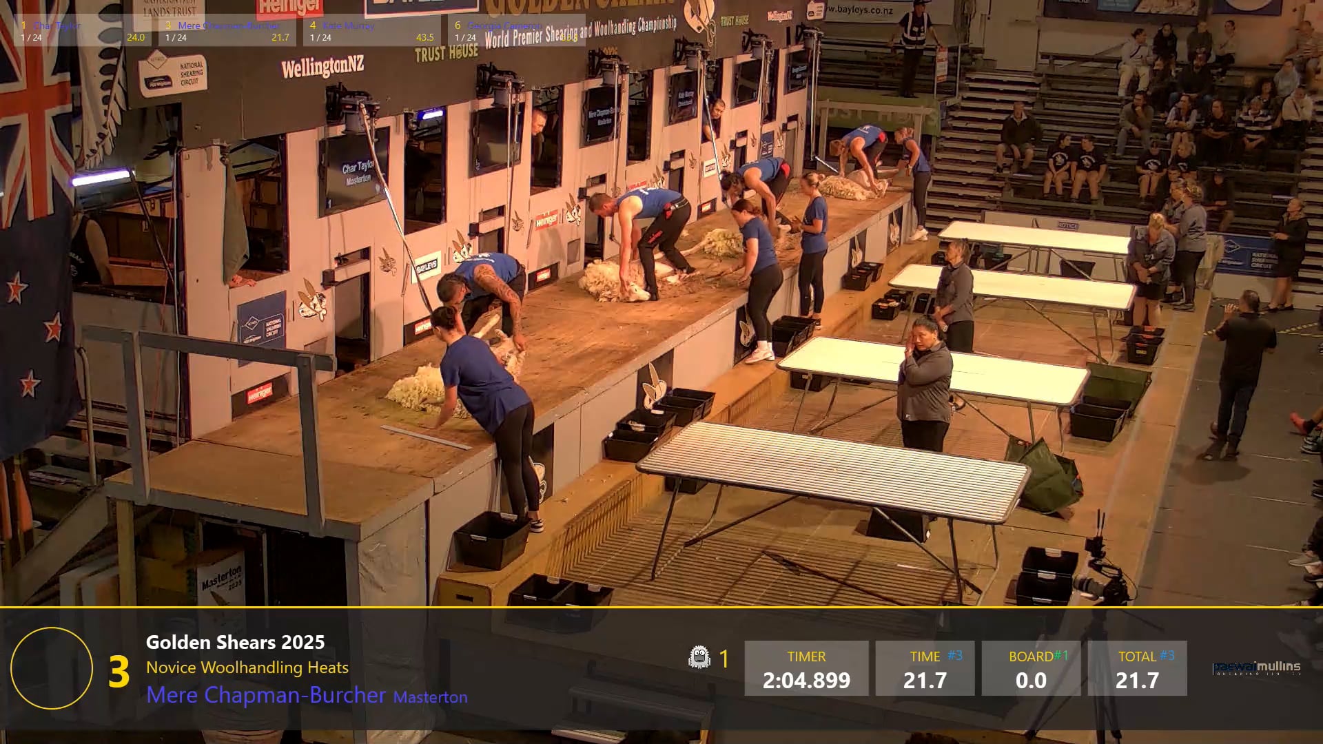 Novice Woolhandling Heats - Round 2