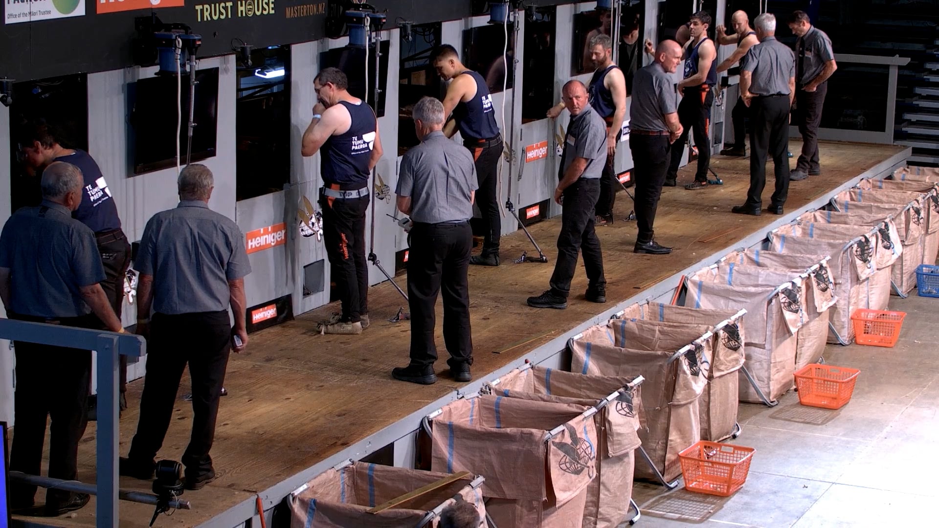 Senior Shearing Heats (2026) - Round 5