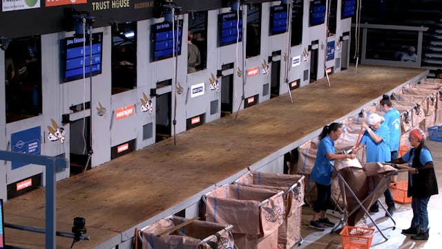 Senior Shearing Heats (2026) - Round 1