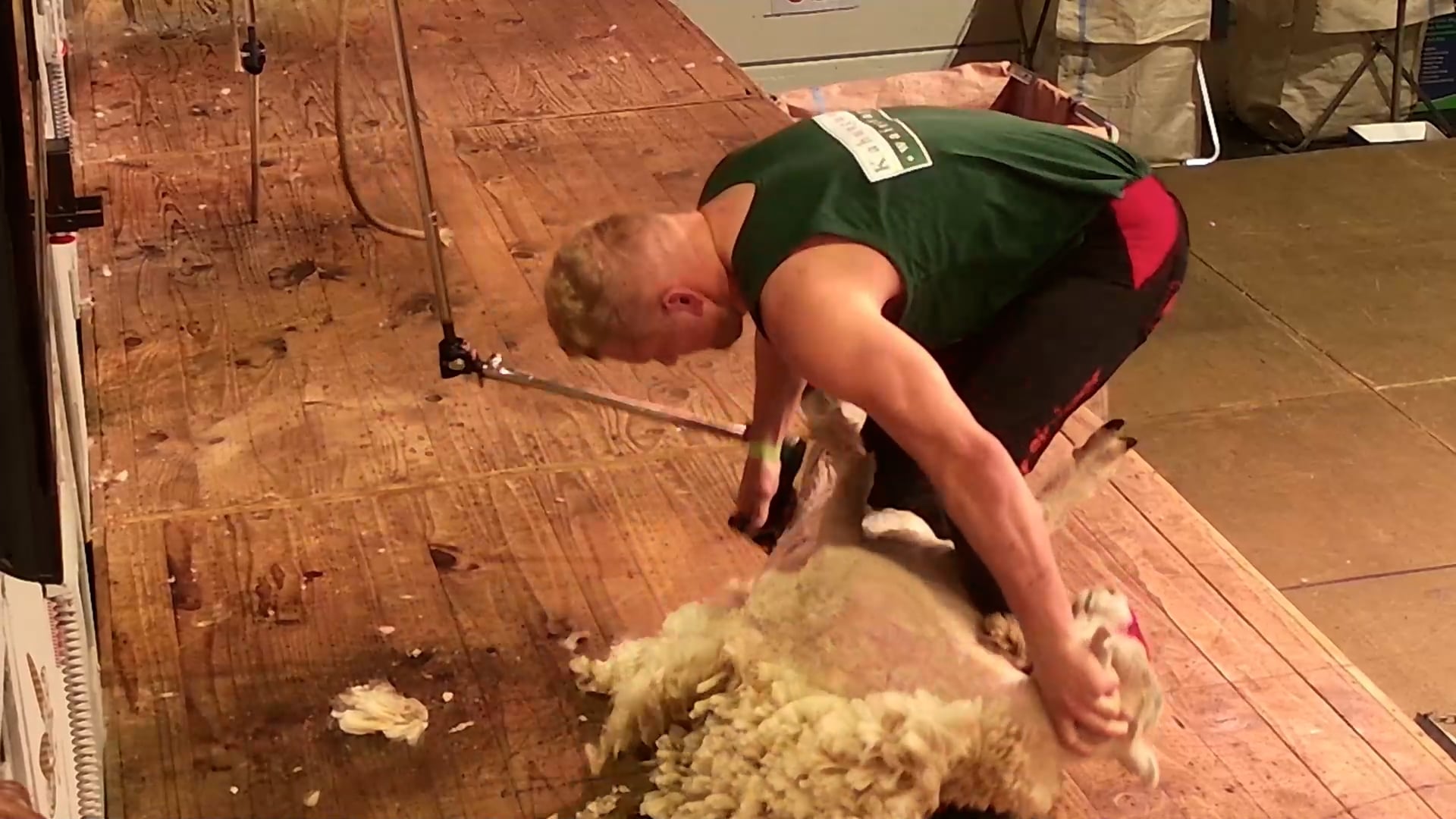 Open Speed Shearing Final - Round 2