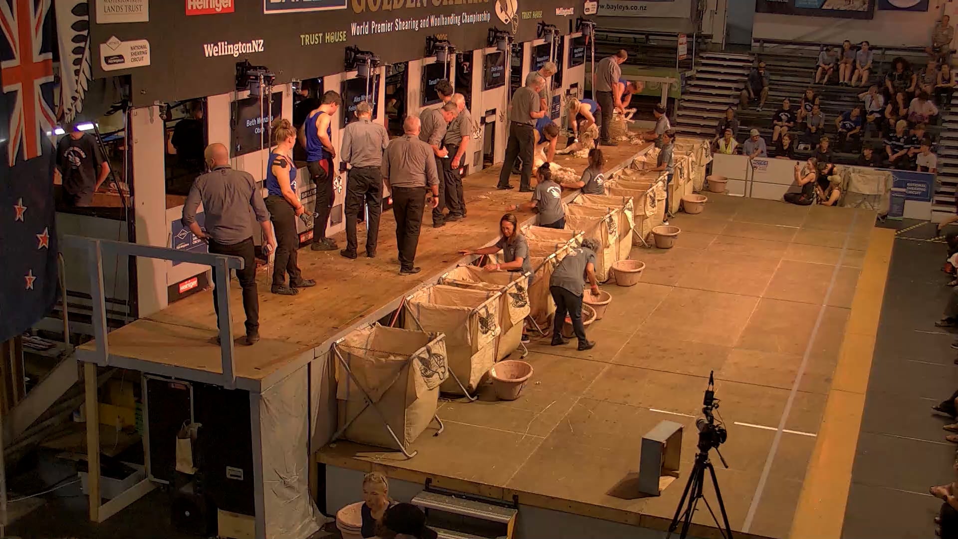 Junior Shearing Heats - Round 1_20250227_135131