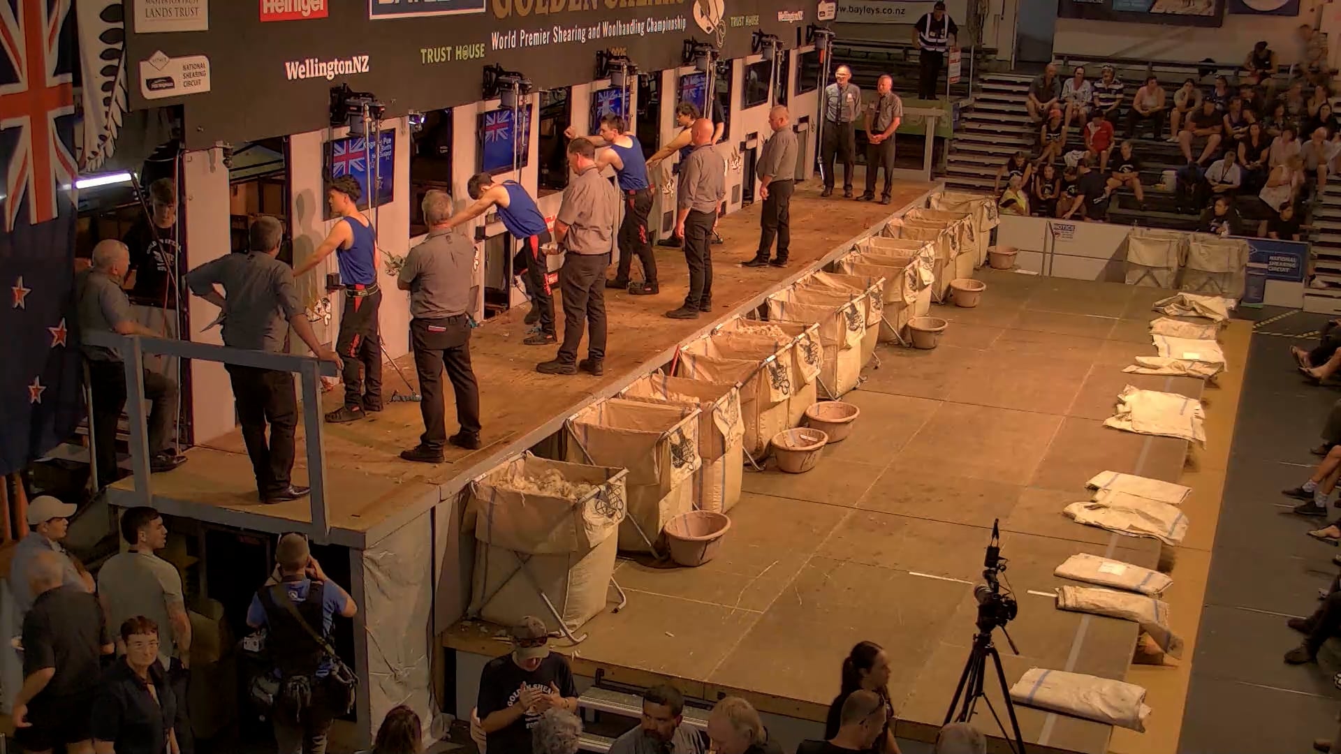 Junior Shearing Heats - Round 1_20250227_150104