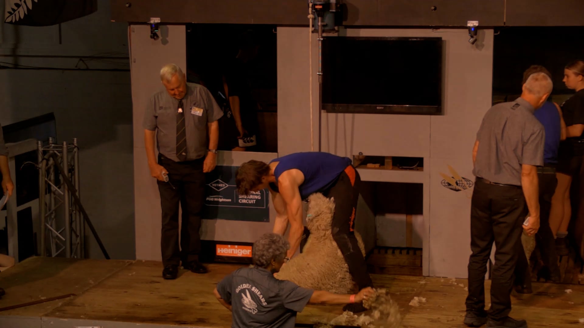 Intermediate Shearing Heats - Round 1_20250227_155237