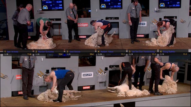 World Blade Shearing Round 2 Heats (2...