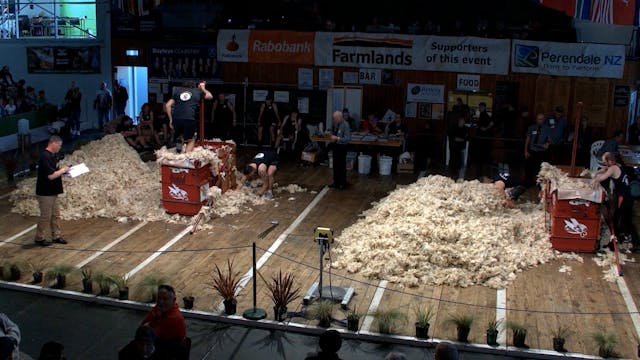 Intermediate Shearing Heats (2026) - ...